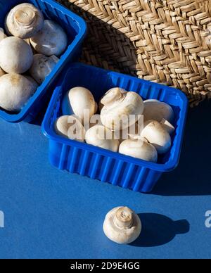 Fresh champignons in blue plastic boxes on the background of a wicker bag. Copy space for text. Stock Photo