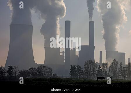 Bergheim, Germany. 05th Nov, 2020. Two horses are standing in a pasture in front of the RWE lignite power plant Niederaussem, which lies in the fog. Credit: Oliver Berg/dpa/Alamy Live News Stock Photo