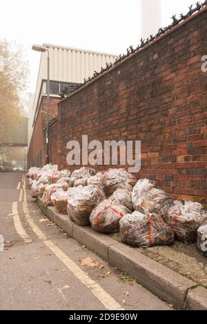 The absurdity of plastic bags stuffed full of fallen Autumn leaves Stock Photo