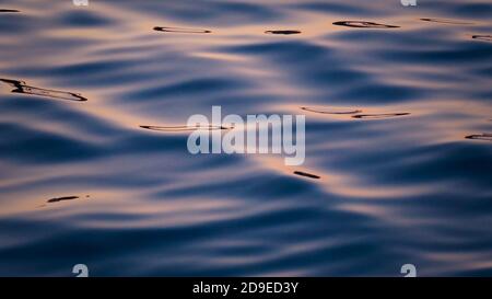 Calm water waves texture background wallpaper, pink reflection  Stock Photo