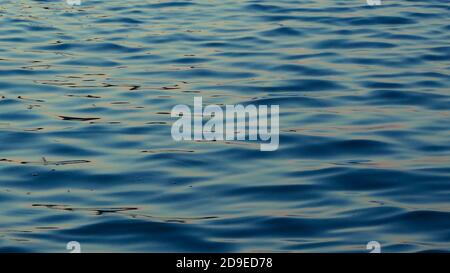 Calm water waves texture background wallpaper, pink reflection  Stock Photo
