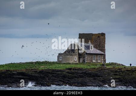 Old lighthouse and keeper’s cottage on Brownsman, Farne Islands, Northumberland Stock Photo