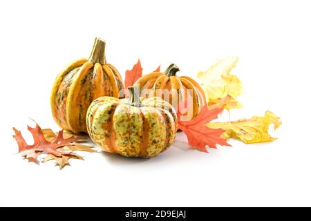 Different food pumpkins or squashes for Halloween or Thanksgiving and colorful autumn leaves, isolated on a white background with copy space, selected Stock Photo