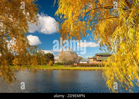 Belle Isle, Dertroit, Michigan, USA with autumn foliage. Stock Photo