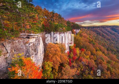 New River Gorge, West Virginia, USA autumn landscape at the Endless Wall. Stock Photo