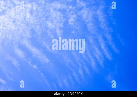 Blue sky with gentle cumulus clouds. Background. Texture.  Stock Photo