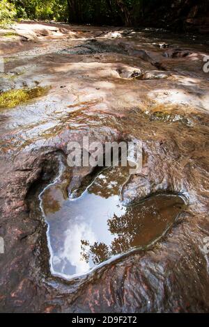 A fossilized footprint of a theropod dinosaur on the stream in primary tropical forest. Kalasin, Northeastern Thailand. Stock Photo