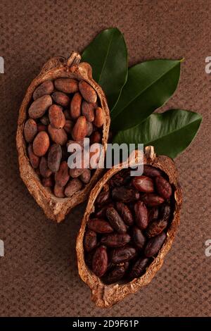 Cocoa bean background. Flat lay, top view. Culinary, gourmet chocolate eating. Stock Photo