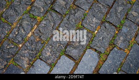 The texture of the cobblestone road. Backgrounds. Paving stones. Stock Photo