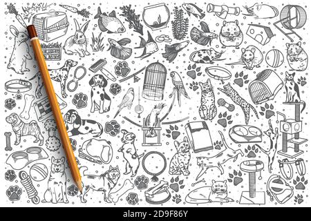 Hand drawn Pets vector doodle set Stock Vector