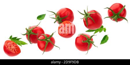 Falling Cherry Tomato isolated on white background Stock Photo