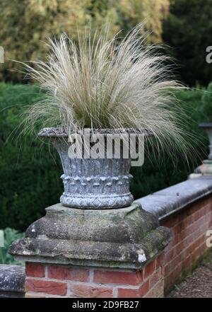 Garden urn in wall with ornamental grasses cascading out of top Stock Photo