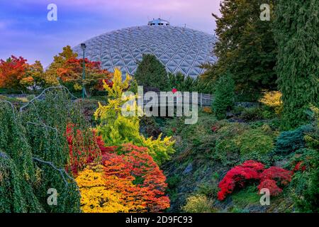 Bloedel Conservatory, Fall colour, Quarry Garden, Queen Elizabeth Park, Vancouver, British Columbia, Canada Stock Photo