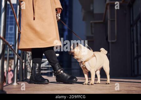 Grounded view of woman in coat that have a walk with her little cute dog at sunny day Stock Photo