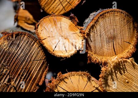 Pile of firewoods in full frame. Winter preparations in the village. Stock Photo