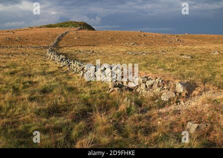 End of a summer day. Dry stone walls meander down a hill on the Route des Lacs (Lozère, France) Stock Photo