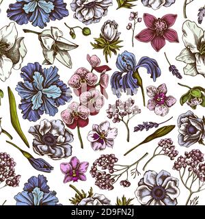Seamless pattern with hand drawn colored anemone, lavender, rosemary everlasting, phalaenopsis, lily, iris Stock Vector
