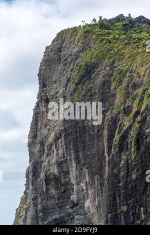 Vertical cliff from lookout Stock Photo - Alamy