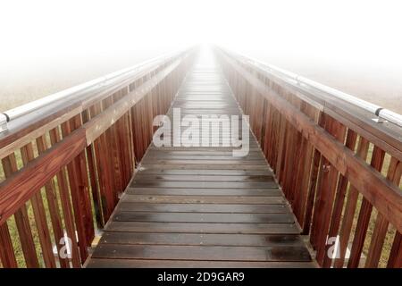 Boardwalk in Thick Morning Fog Stock Photo