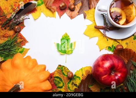 Autumn still life. Blank copy space mockup of a fall brown leaf on a white background at an autumn composition. Fall and Thanksgiving concept. Stock Photo