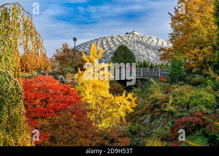 Fall colour, Bloedel Conservatory, Quarry Garden, Queen Elizabeth Park, Vancouver, British Columbia, Canada Stock Photo