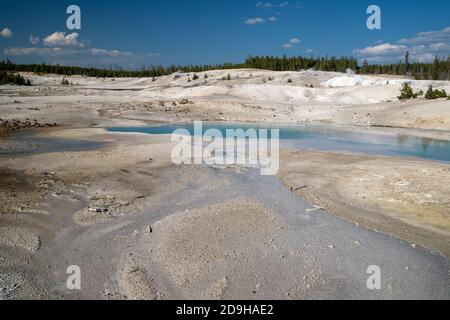 Geysers and hot springs along the Porcelain Basin Trail in Norris Geyser Basin at Yellowstone National Park Stock Photo