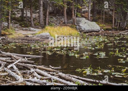 Shoreline of Nymph Lake in Rocky Mountain National Park in fall Stock Photo
