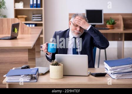 Old employee working in the office Stock Photo