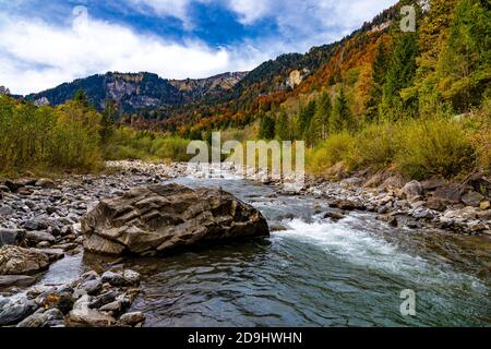 Der Bergbach fliesst durch den bunten Herbstwald. The mountain stream flows through the colorful autumn forest. Mellau, Bregenzerwald, Austria Stock Photo