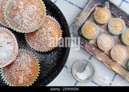 Lemon and vanilla muffins powdered with icing sugar, mini lemon and vanilla muffins Stock Photo