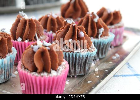 Mini chocolate cupcakes with chocolate frosting and sprinkles in pink and blue cases Stock Photo