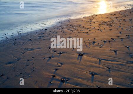 Small pebbles scattered on a sandy beach at Mendocino, California. Long exposure with blurred water during sunset. Stock Photo