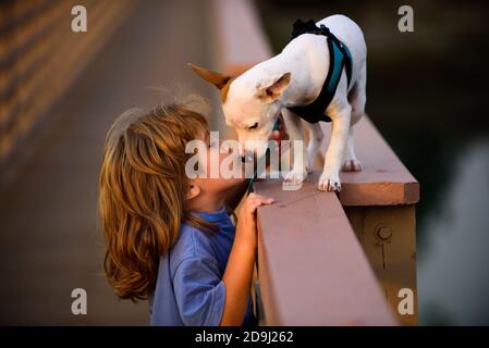 Child with pet puppy. Boy Kissing Dog. Stock Photo