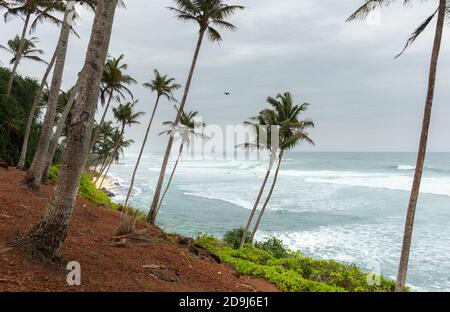 Mirissa Coconut tree hill is one of the best tourist destinations in the southern province, side ocean horizon view Stock Photo