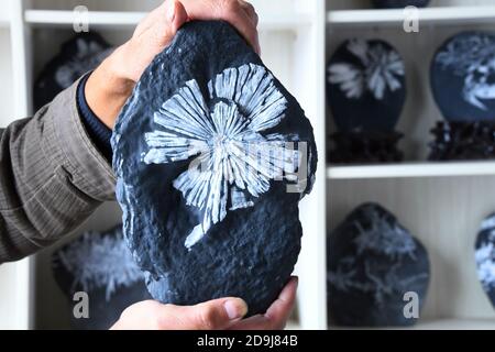 Craftsmen carve unique sculptures on the chrysanthemum stone in Enshi Tujia and Miao Autonomous Prefecture, south central China's Hubei province, 16 O Stock Photo