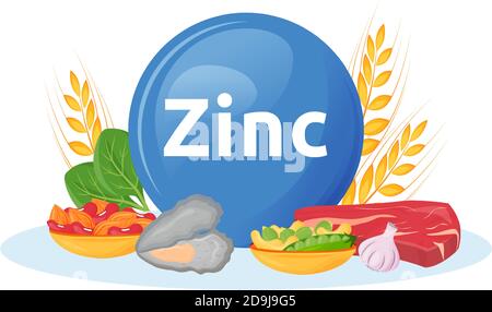 Products rich in zinc cartoon vector illustration Stock Vector