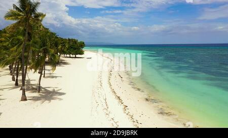 Beautiful sandy beach and turquoise water in Panglao island, Bohol, Philippines. Tropical beach with palm trees. Stock Photo