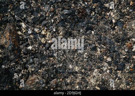Pattern of different colours of small stones under the clear water with reflection. Concept Stones and water. Stock Photo