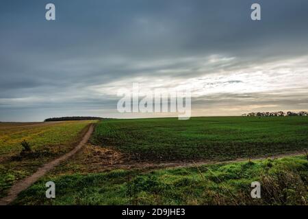 Public footpath leading up a hill in Yorkshire, England Stock Photo