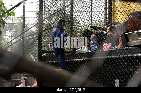 Guwahati, Assam, India. 5th Nov, 2020. A Hyacinths or blue macaws which is recovered from animals smugglers few days back from Assam Mizoram border is release inside the enclosure of Assam State Zoo by Parimal Suklabadiya State forest minister release in Guwahati Assam India on Friday 6th November 2020. Hyacinths or blue macaws are found mainly in South America Credit: Dasarath Deka/ZUMA Wire/Alamy Live News Stock Photo