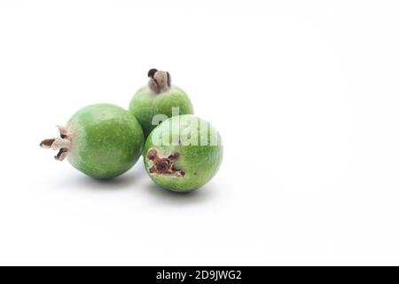 Fresh ripe feijoa isolated on white background. Tropical fruit. Group of ripe feijoa fruits. Stock Photo