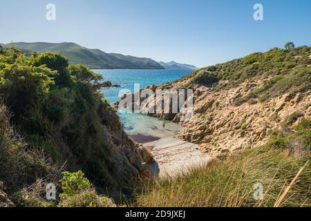 A man standing in the turquoise Mediterranean sea in a small sandy cove near Ostriconi in the Balagne region of Corsica Stock Photo