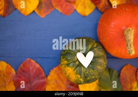 Autumn Thanksgiving Pumpkins. Different Pumpkins, Heart Symbol and Bright Dry Leaves are on Navy Blue Wooden Table - Background, Copy Space, Horizonta Stock Photo