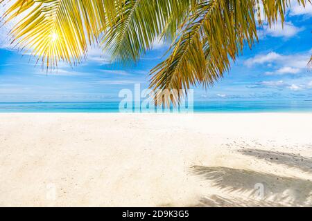 Palm and tropical beach, peaceful tranquil nature landscape. Seascape, white sand close to sea under blue sky. Amazing summer landscape Stock Photo