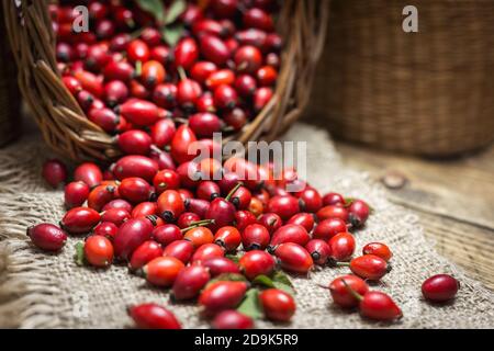 Fresh ripe rose hips in basket on the rustic background, close-up photo. Healthy nutrition concept. Stock Photo