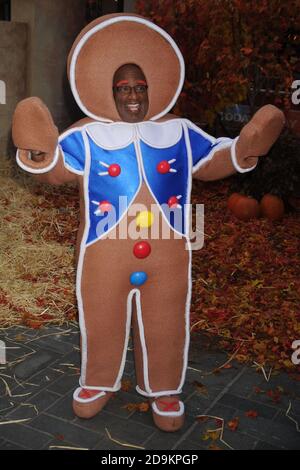 Manhattan, United States Of America. 31st Oct, 2008. NEW YORK - OCTOBER 31: Al Roker celebrates Halloween on NBC's 'Today' at Rockefeller Plaza on October 31, 2008 in New York City People: Al Roker Credit: Storms Media Group/Alamy Live News Stock Photo