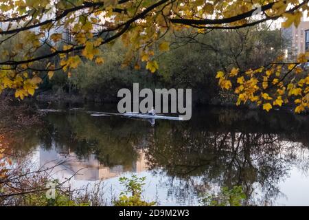 Glasgow, Scotland, UK. 6th November, 2020. UK Weather. A rower on the River Clyde. Credit: Skully/Alamy Live News Stock Photo