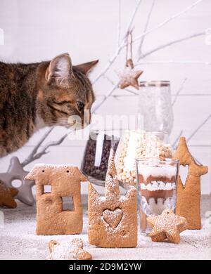 Christmas New Year gingerbread cookies and cat on white background. Front view. Stock Photo