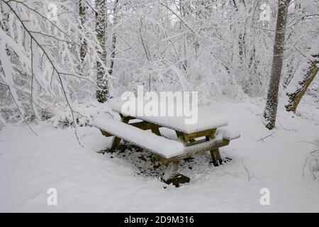 Seating group, forest, winter, Odenwald, Baden-Württemberg, Germany Stock Photo