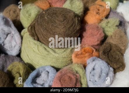 Assortment of Raw Sheep Wool in Different Pastel Colors Stock Photo